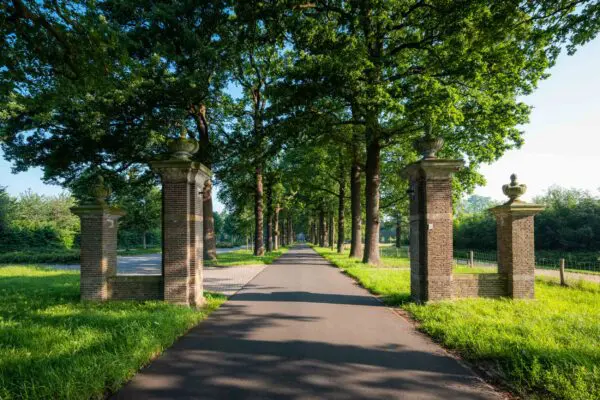 Lange oprijlaan tussen bomen richting Crematorium Kranenburg.