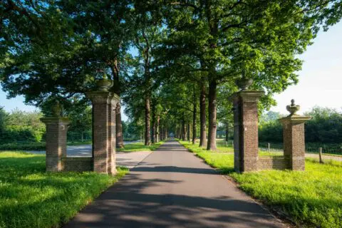Lange oprijlaan tussen bomen richting Crematorium Kranenburg.