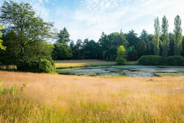 Waterpartij tussen een natuurlijk grasveld en de bomen op het terrein.