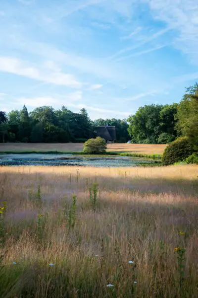 Natuurlijk grasveld met een waterpartij, bomen en een blauwe lucht.