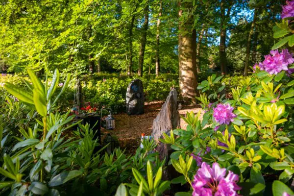 Bostuin bij Crematorium Kranenburg met bloeiende rododendrons, bomen en een klein gedenkbeeld.